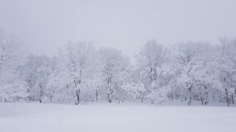 Konayuki Hotel Миоко Екстериор снимка
